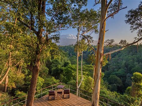 kaliwa lodge machame|Kaliwa Lodge .